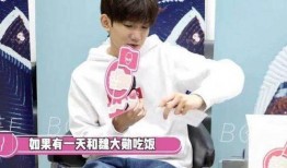 狗仔爆料王源视频在线,狗仔爆料引发网友热议